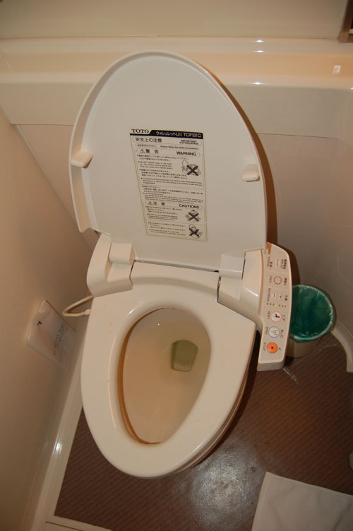 this is what a heated toilet seat looks like!